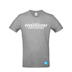 Fan T-Shirt Wermsdorf grau